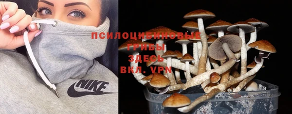 spice Елабуга