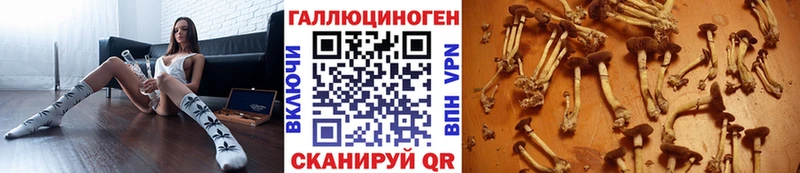 Галлюциногенные грибы мицелий  Ермолино 